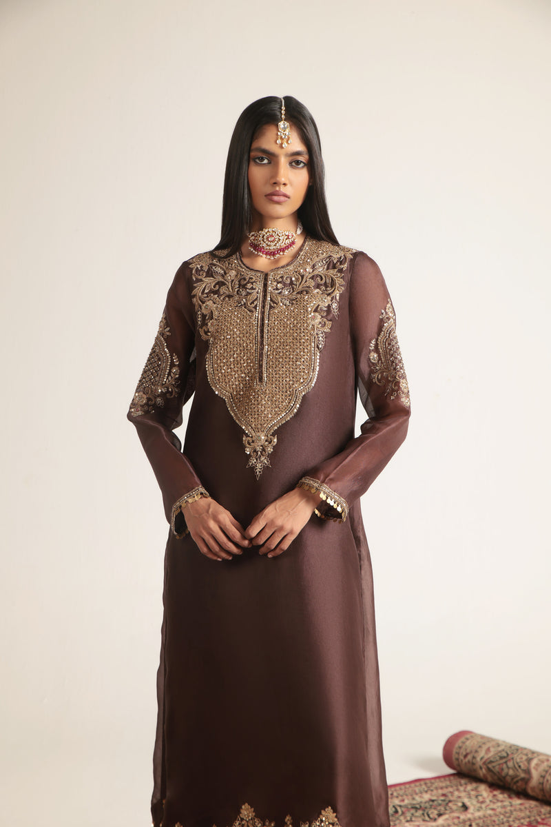 Zar-Rang Brown Straight Kurta Set organza, silk tencel kurta/kurta set by Niti Bothra in brown for women Worldwide