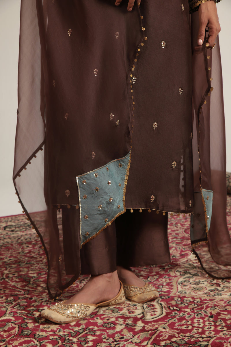 Zar-Rang Brown Long Kurta Set organza, silk tencel kurta/kurta set by Niti Bothra in brown for women Worldwide