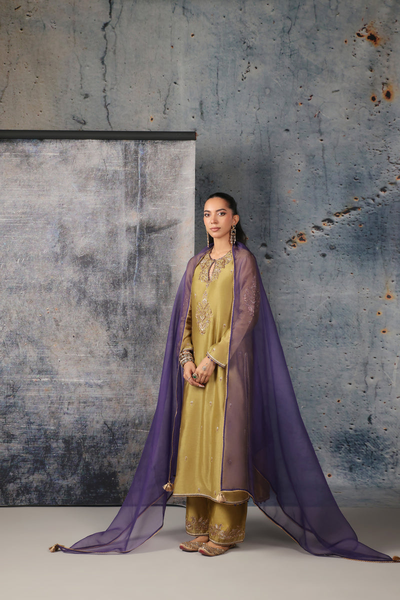 Mehrang Olive Green Straight Long Kurta Set silk chanderi , silk tencel kurta/kurta set by Niti Bothra in green for women Worldwide