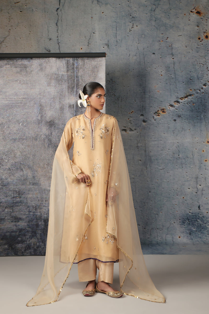 Zar-Rang Ivory Phool Kurta Set organza, silk tencel kurta/kurta set by Niti Bothra in ivory for women Worldwide