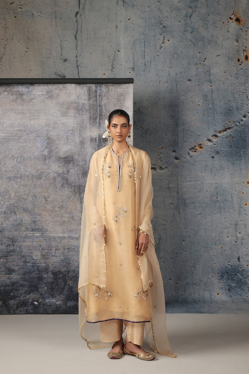 Zar-Rang Ivory Phool Kurta Set organza, silk tencel kurta/kurta set by Niti Bothra in ivory for women Worldwide