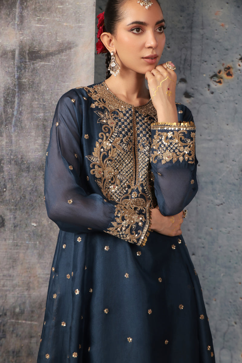 Zar-Rang Blue Long Pheran Kurta Set organza, silk tencel kurta/kurta set by Niti Bothra in blue for women Worldwide