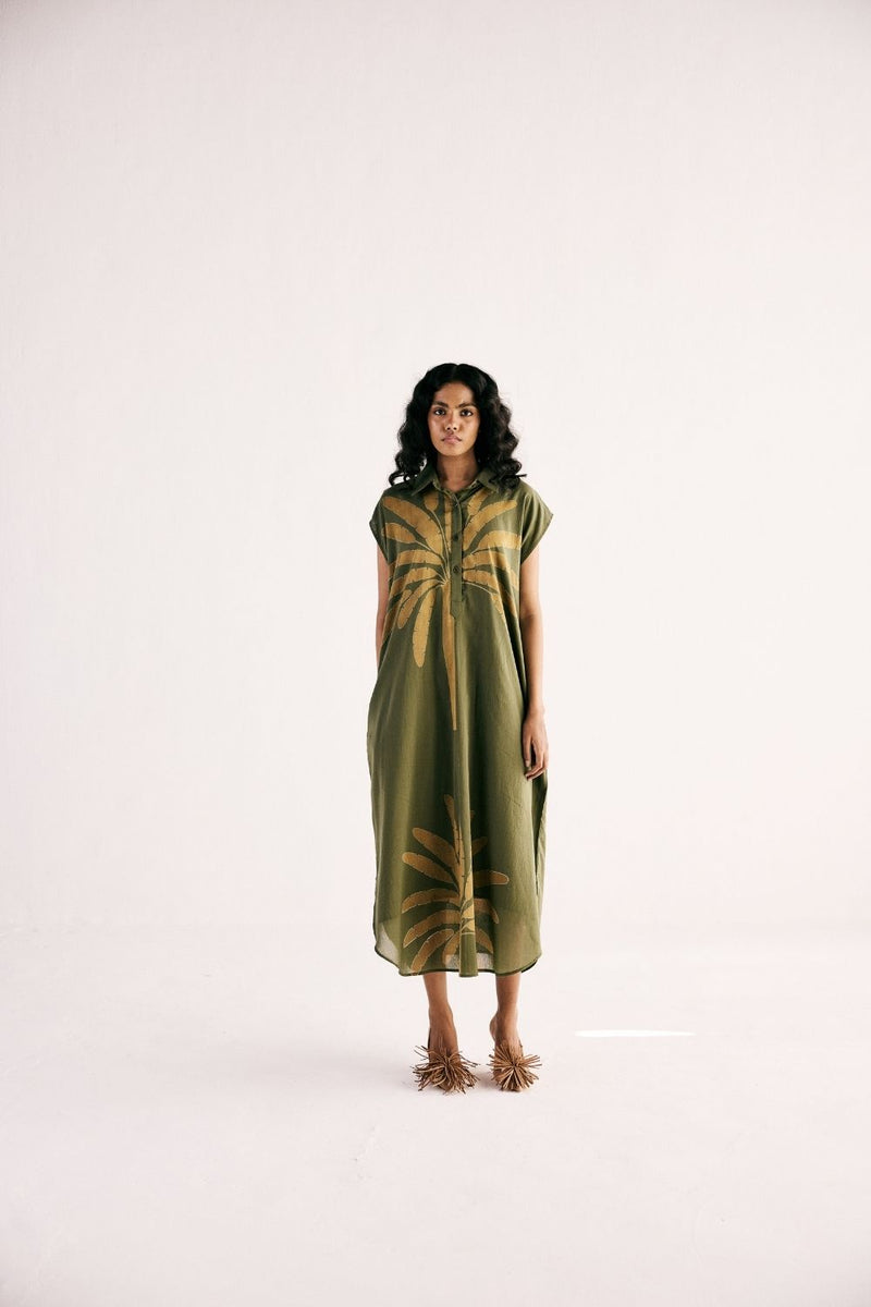 OLIVE PALM SHIRT DRESS cotton by Khara Kapas in green for women Worldwide