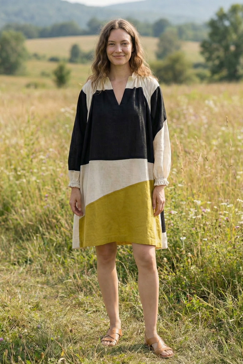 Pride of Crow short dress - MultiColor mul Dress by World of Crow in multi color for women Worldwide