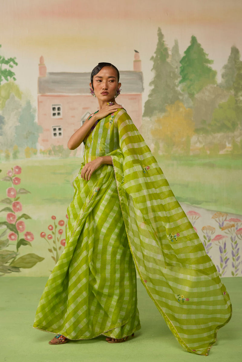 Trellis Green Kota Doria Silk Lehriya Mothra Sari silk saree by Nadiya Paar in green for women Worldwide