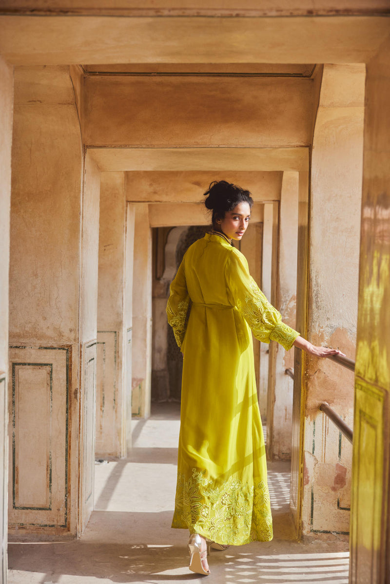 PH-2309 
Maxi-Lime yellow organza by Paulmi & Harsh in yellow color for women Worldwide