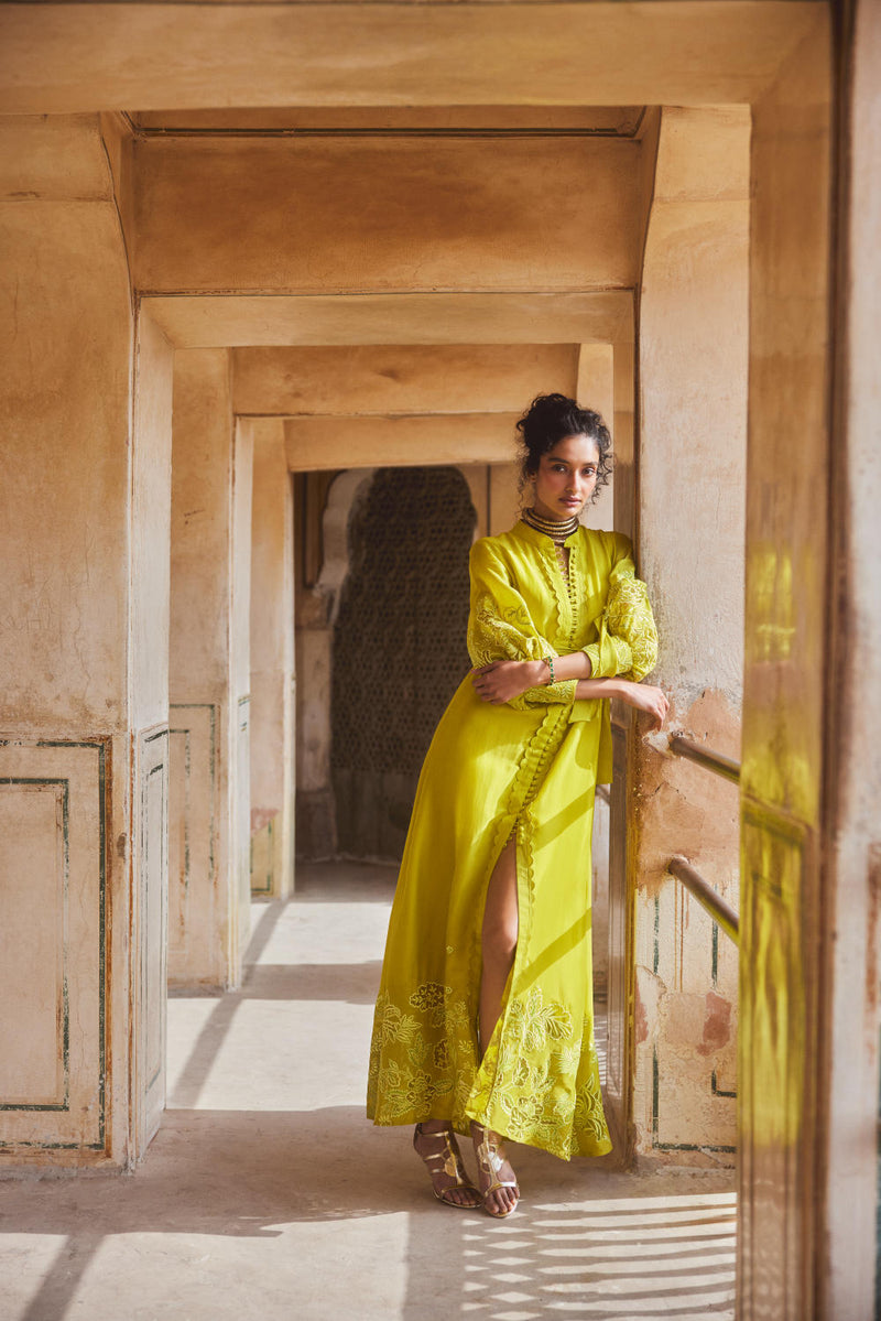 PH-2309 
Maxi-Lime yellow organza by Paulmi & Harsh in yellow color for women Worldwide