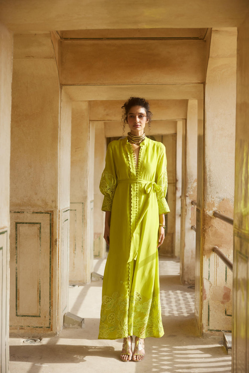 PH-2309 
Maxi-Lime yellow organza by Paulmi & Harsh in yellow color for women Worldwide