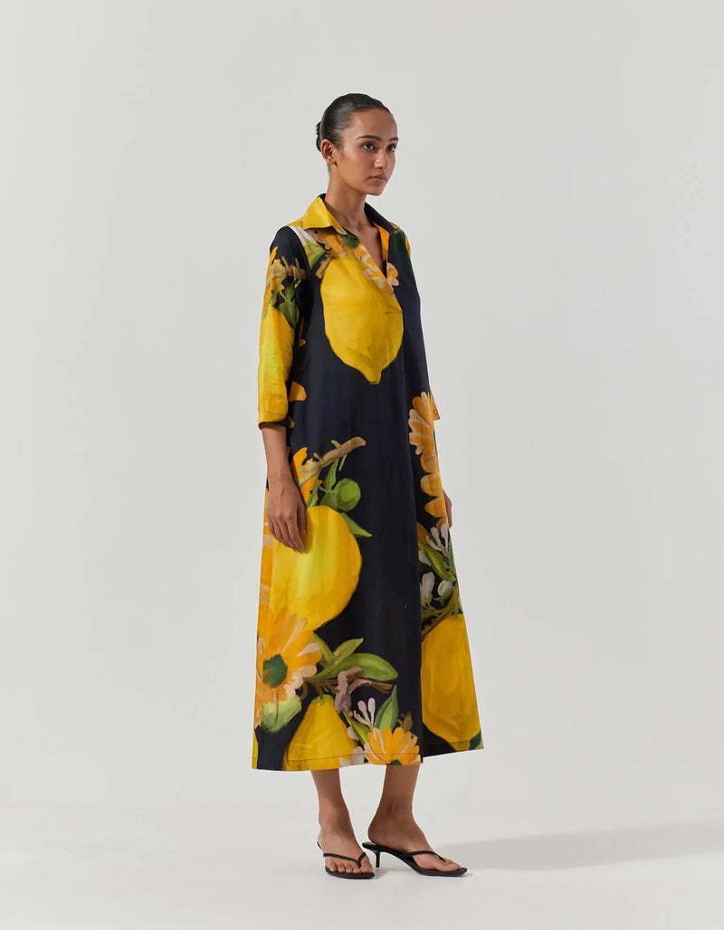 POMELLO COLLAR DRESS satin by Yam in black color for women Worldwide