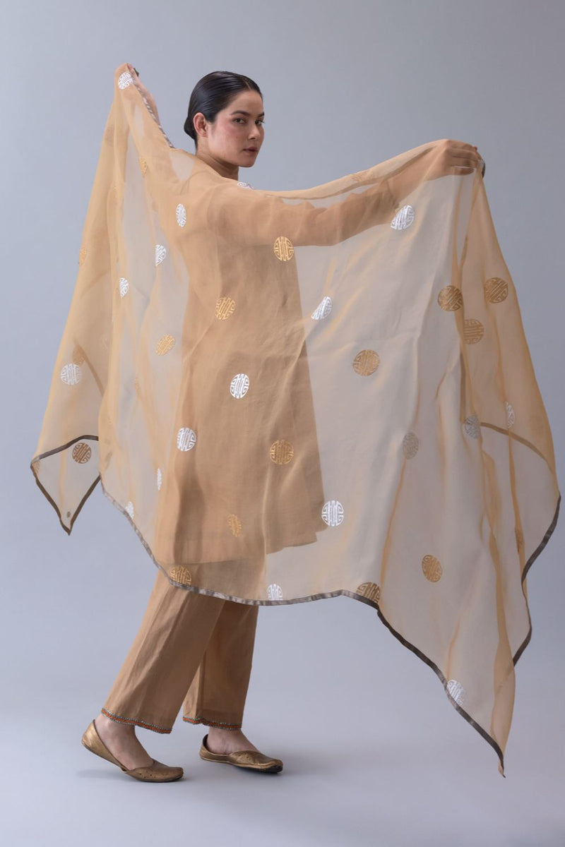 Yarki Dupatta-Beige organza by Shades of India in beige color for women Worldwide