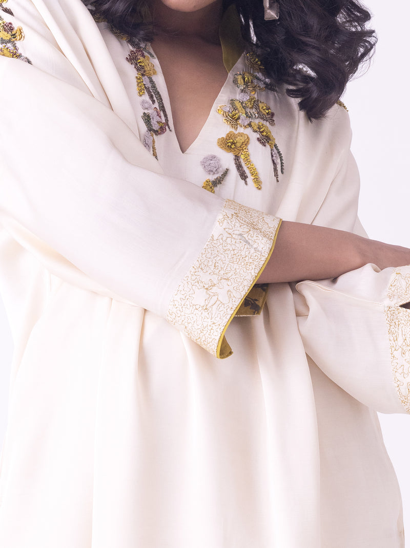 Sahar-Kaftan linen blend indo-western by Shades of India in brown for women Worldwide