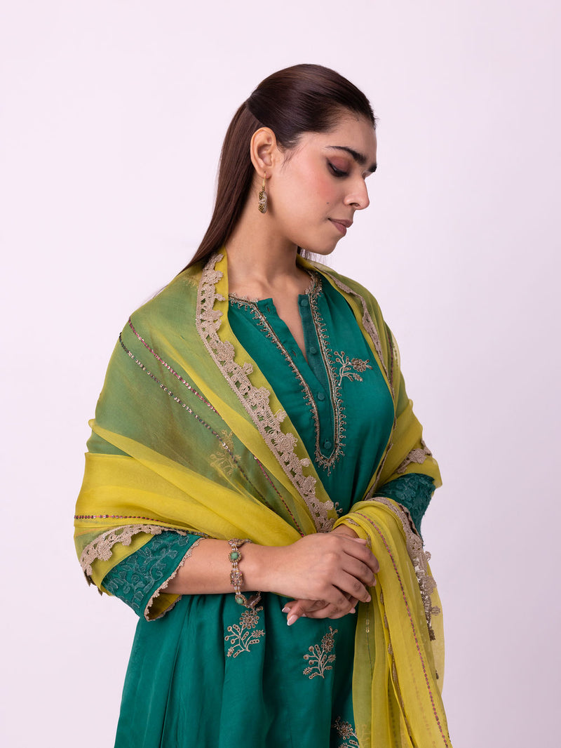 Vadha Dupatta organza dupatta by Shades of India in yellow for women Worldwide