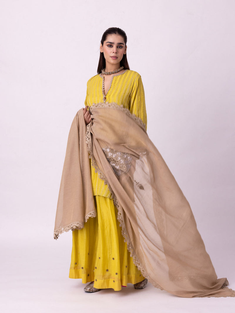 Viyana Dupatta tissue dupatta by Shades of India in grey for women Worldwide