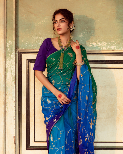 Embroidered Shaded Chiffon Sari