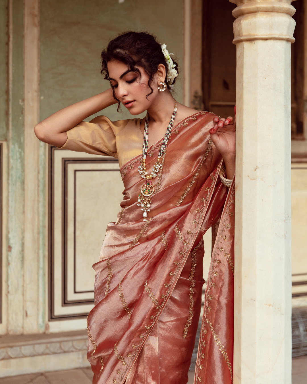 Rust Tissue Silk Embroidered Sari