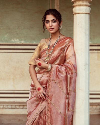 Rust Tissue Silk Embroidered Sari