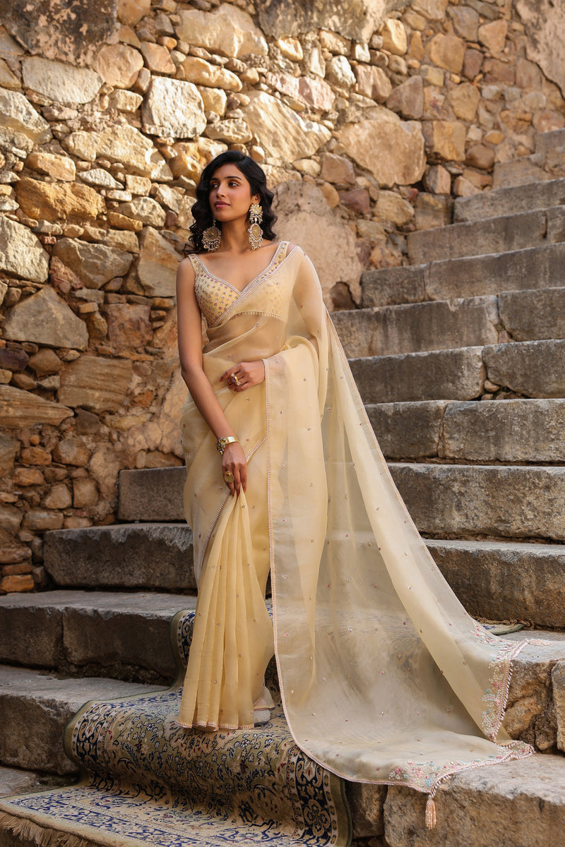 Vaayu Beige Multicolor Butti Saree Set organza saree by Niti Bothra in beige for women Worldwide