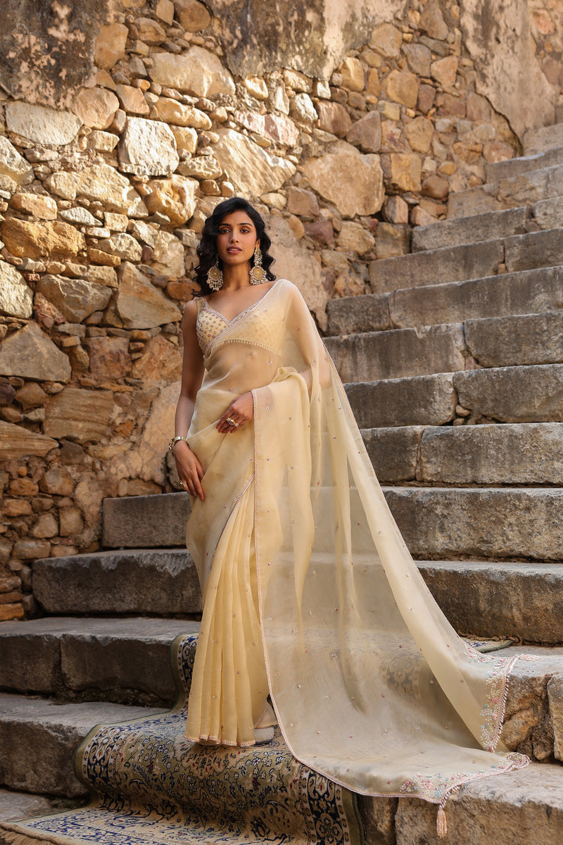 Vaayu Beige Multicolor Butti Saree Set organza saree by Niti Bothra in beige for women Worldwide