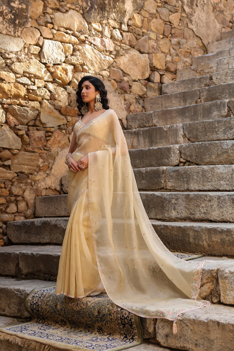 Vaayu Beige Multicolor Butti Saree Set organza saree by Niti Bothra in beige for women Worldwide