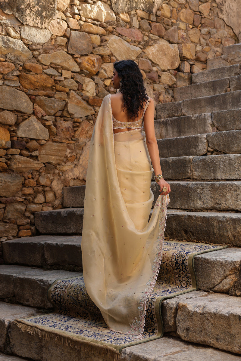 Vaayu Beige Multicolor Butti Saree Set organza saree by Niti Bothra in beige for women Worldwide