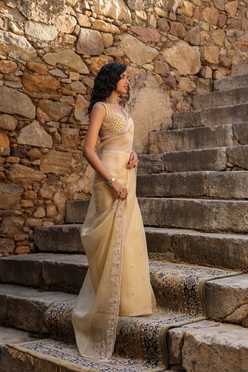Vaayu Beige Multicolor Butti Saree Set organza saree by Niti Bothra in beige for women Worldwide