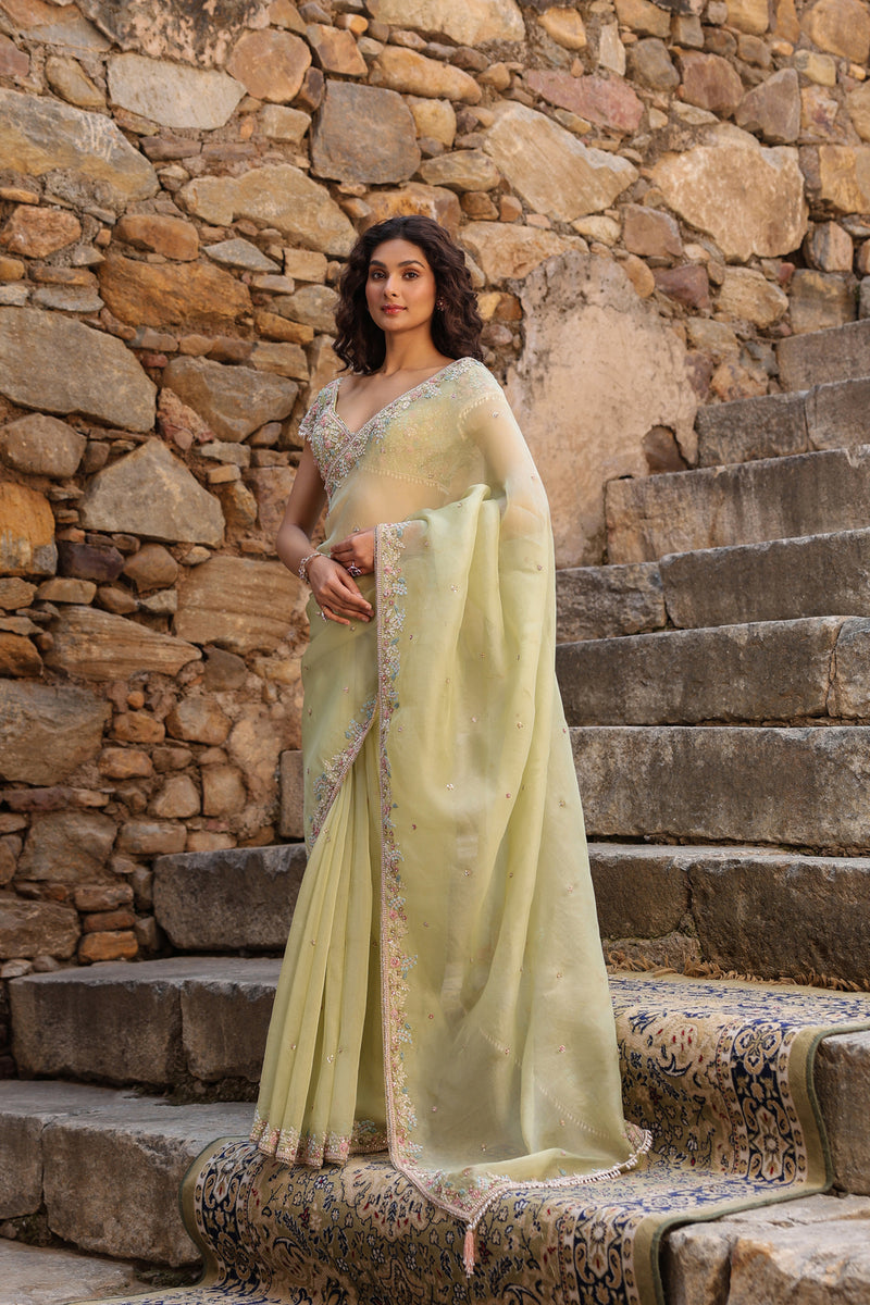 Vaayu Green Multicolor Border Saree Set organza saree by Niti Bothra in green for women Worldwide