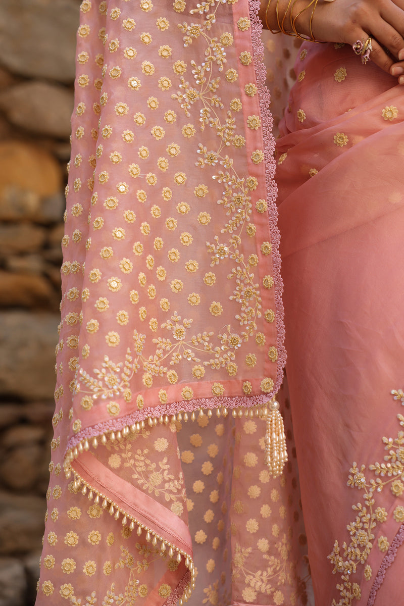 Vaayu Pink Heavy Butti Jaal Saree Set organza saree by Niti Bothra in pink for women Worldwide