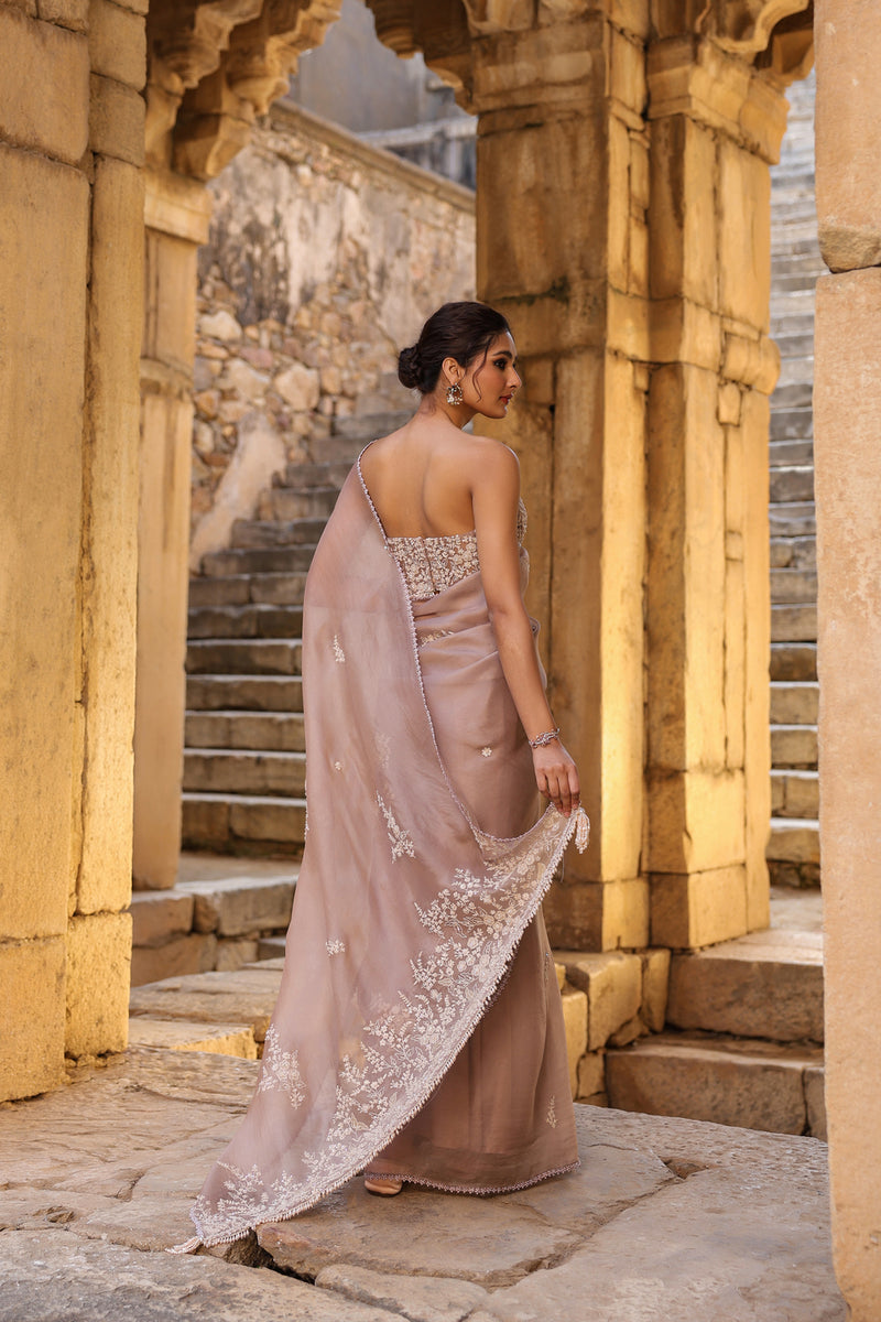 Vaayu Taupe Applique Corset Saree Set organza saree by Niti Bothra in taupe for women Worldwide