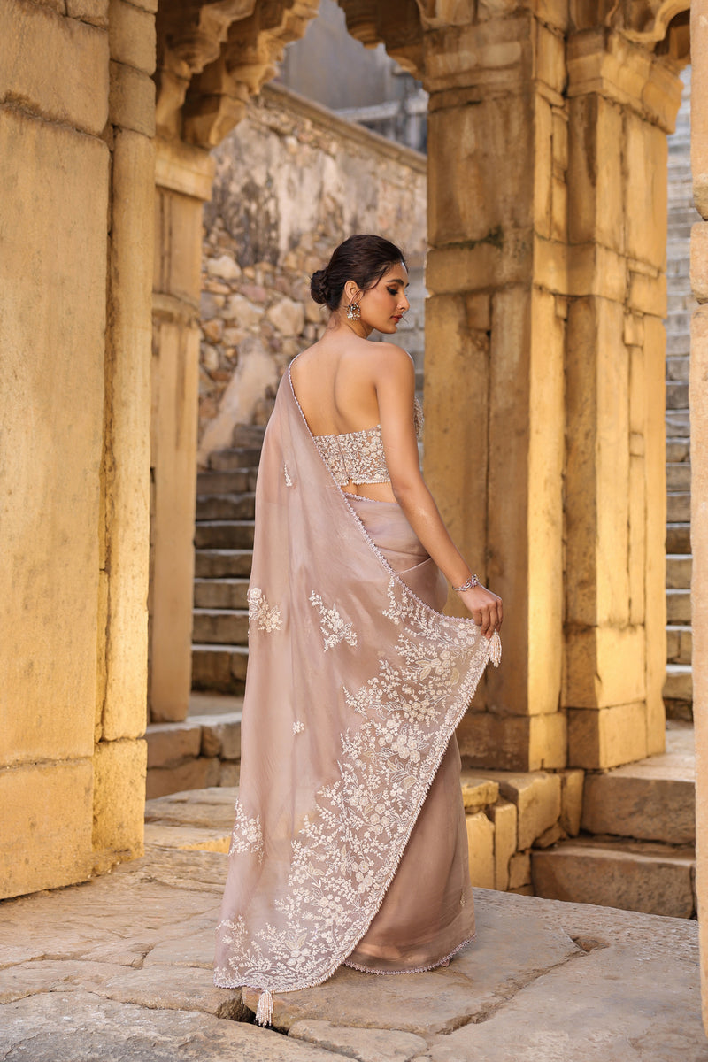 Vaayu Taupe Applique Corset Saree Set organza saree by Niti Bothra in taupe for women Worldwide