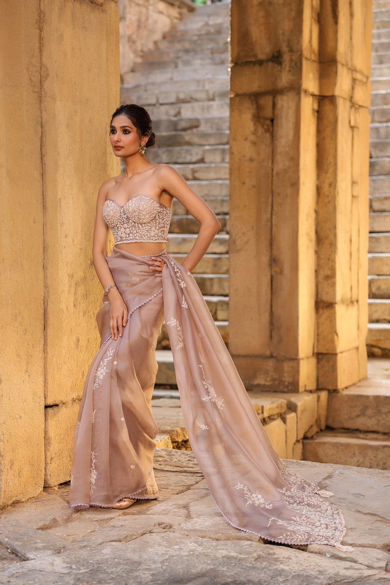 Vaayu Taupe Applique Corset Saree Set organza saree by Niti Bothra in taupe for women Worldwide
