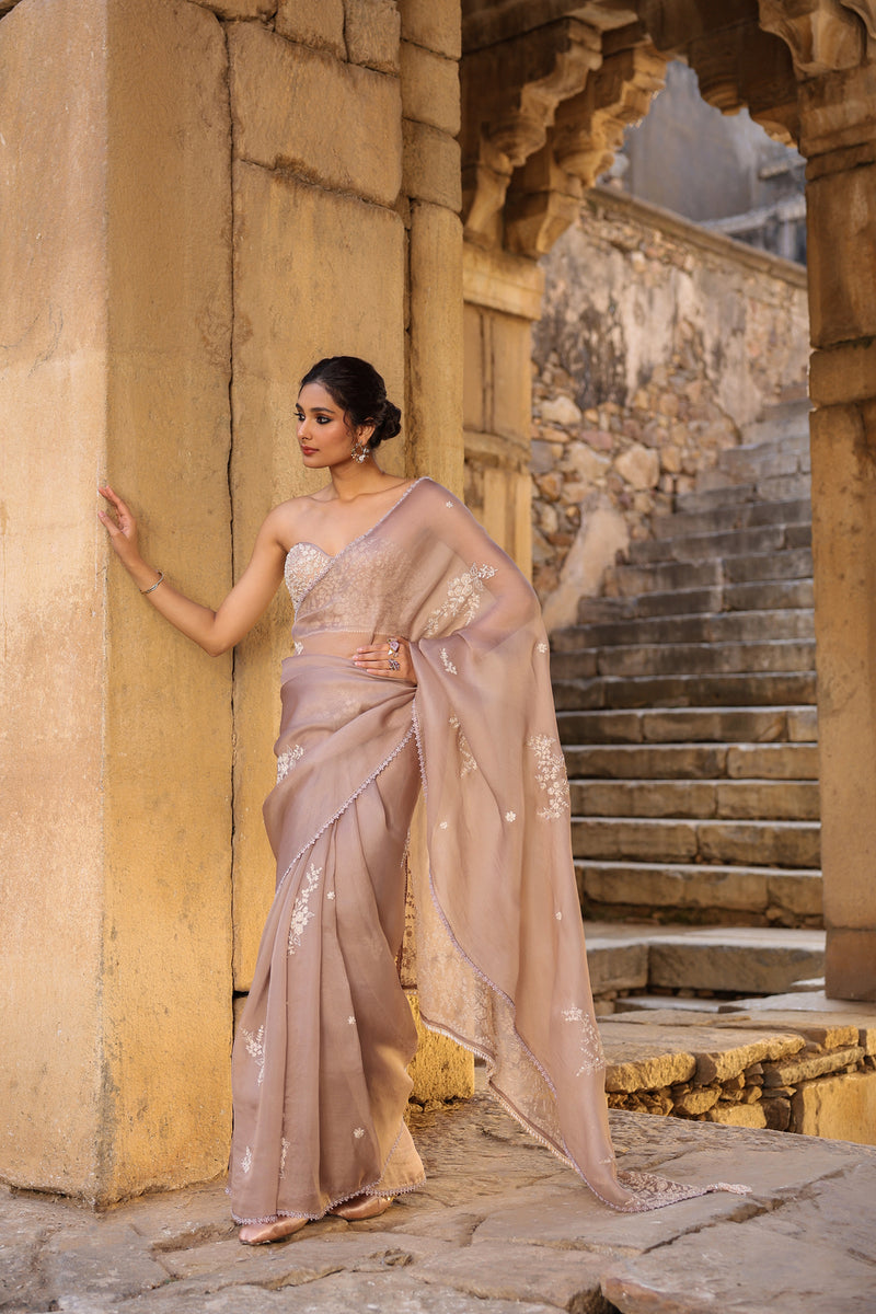 Vaayu Taupe Applique Corset Saree Set organza saree by Niti Bothra in taupe for women Worldwide