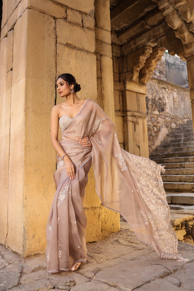 Vaayu Taupe Applique Corset Saree Set organza saree by Niti Bothra in taupe for women Worldwide