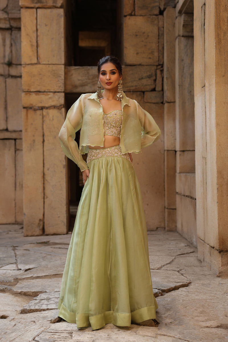 Vaayu Green Jacket Lehenga Set organza lehenga sets by Niti Bothra in green for women Worldwide