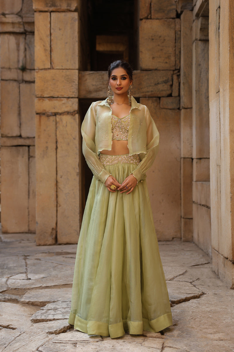 Vaayu Green Jacket Lehenga Set organza lehenga sets by Niti Bothra in green for women Worldwide
