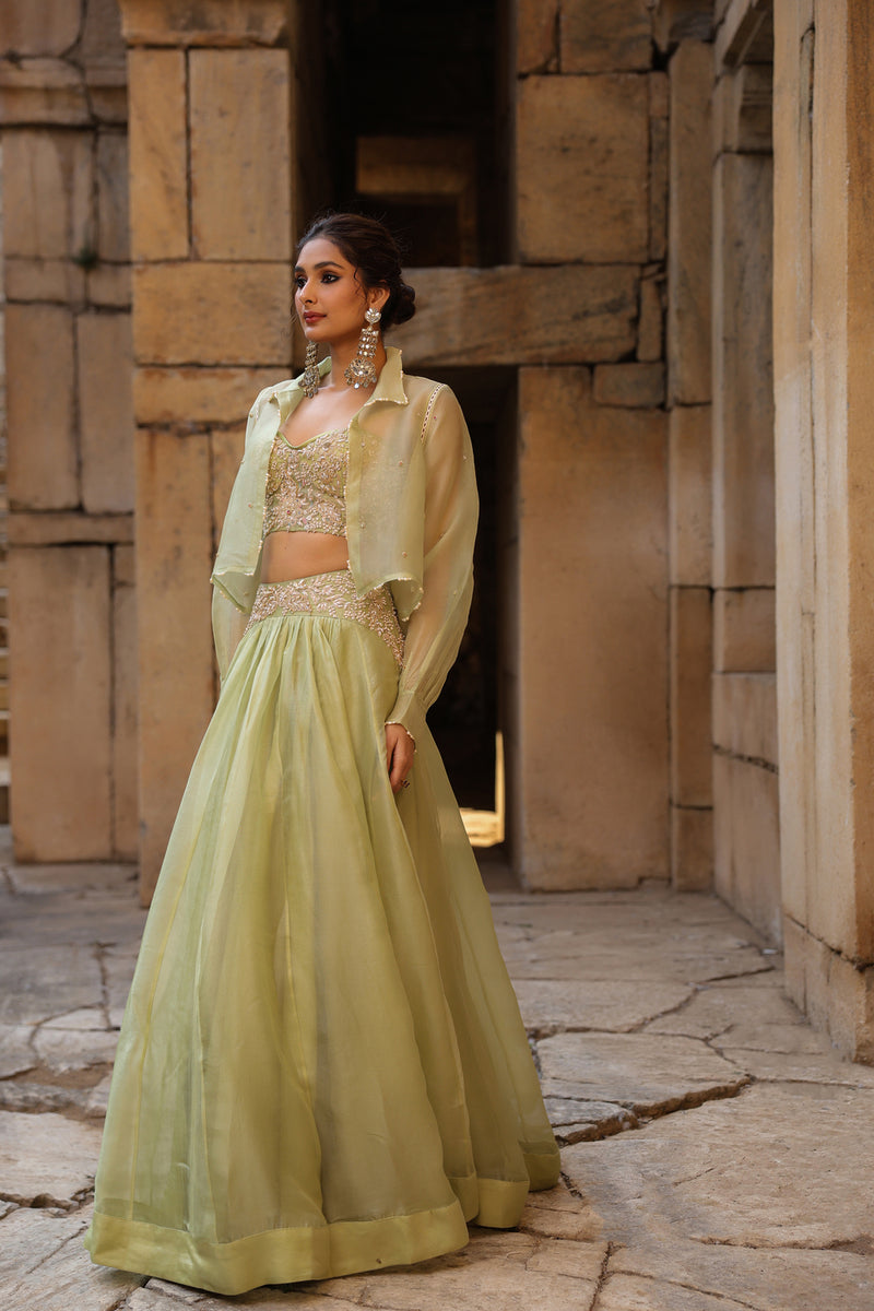 Vaayu Green Jacket Lehenga Set organza lehenga sets by Niti Bothra in green for women Worldwide