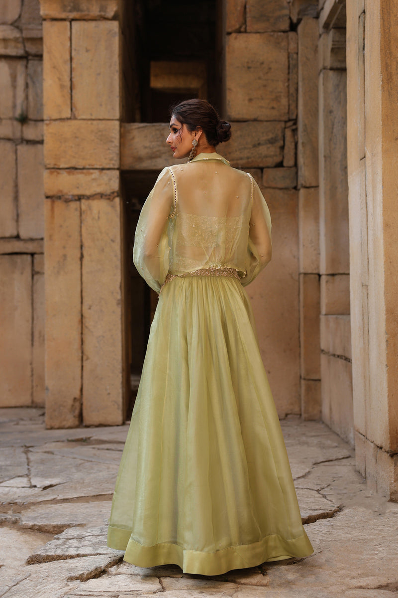 Vaayu Green Jacket Lehenga Set organza lehenga sets by Niti Bothra in green for women Worldwide
