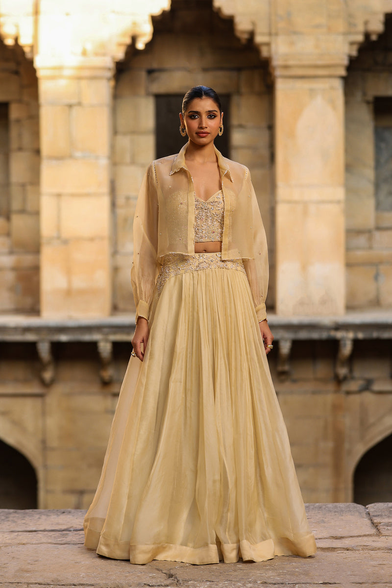 Vaayu Beige Jacket Lehenga Set organza lehenga sets by Niti Bothra in beige for women Worldwide