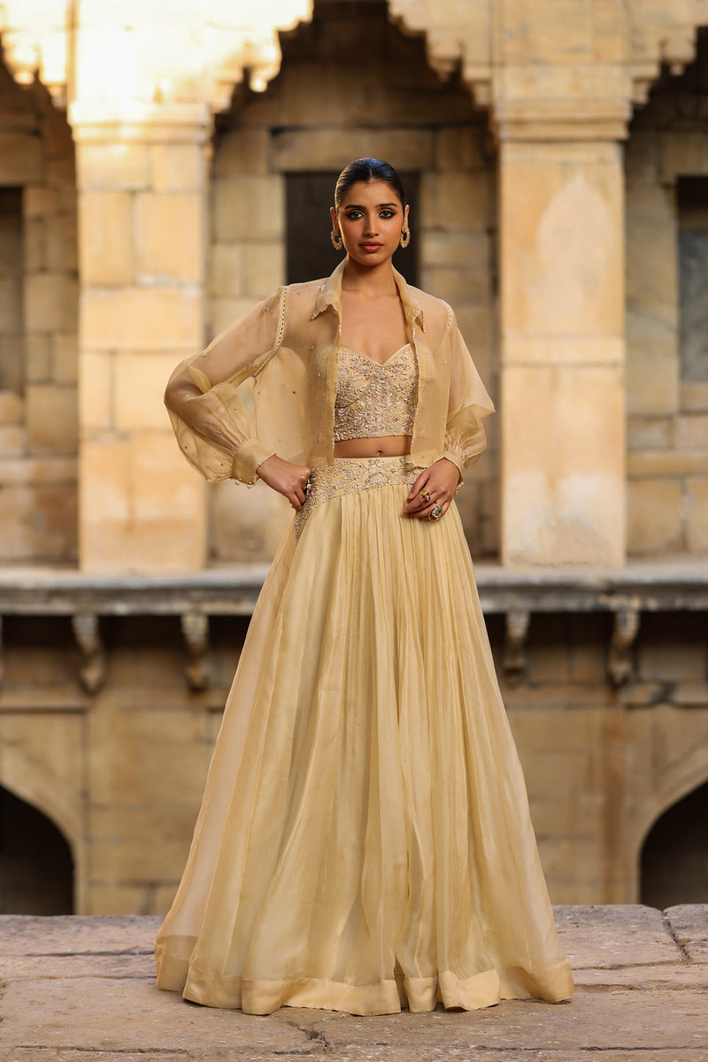 Vaayu Beige Jacket Lehenga Set organza lehenga sets by Niti Bothra in beige for women Worldwide