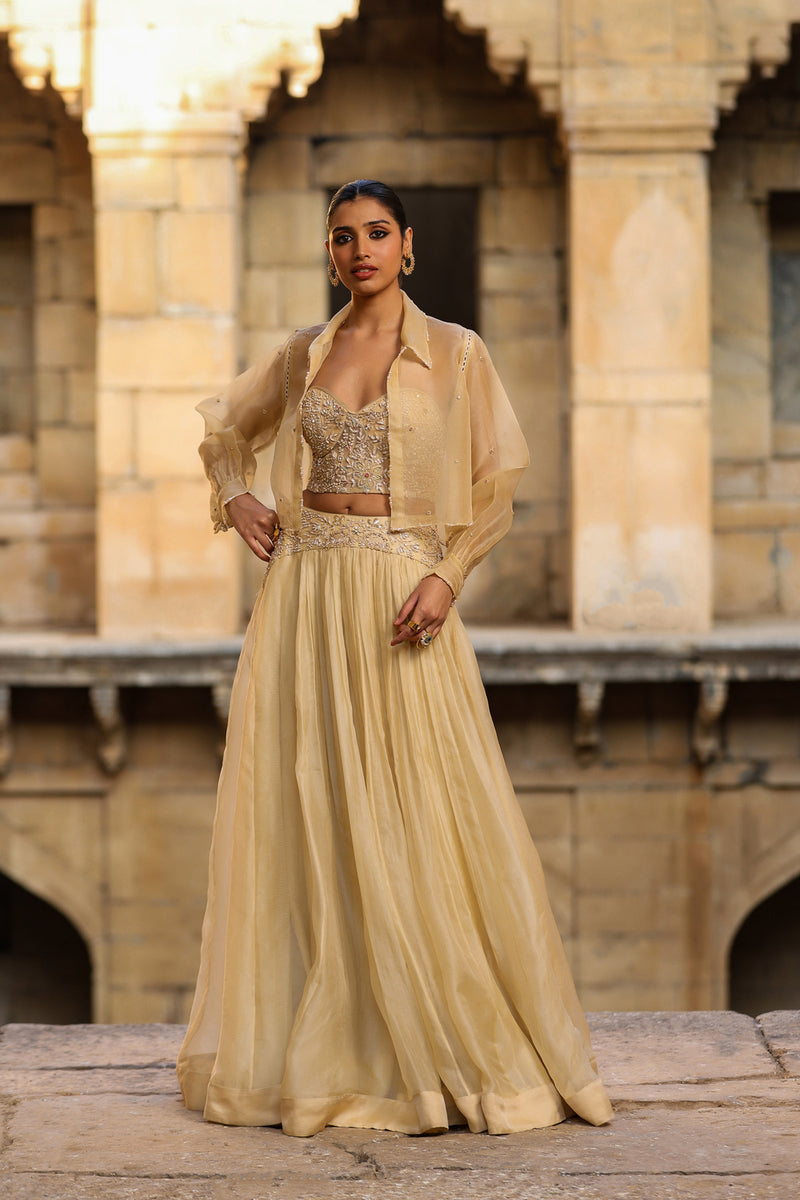 Vaayu Beige Jacket Lehenga Set organza lehenga sets by Niti Bothra in beige for women Worldwide