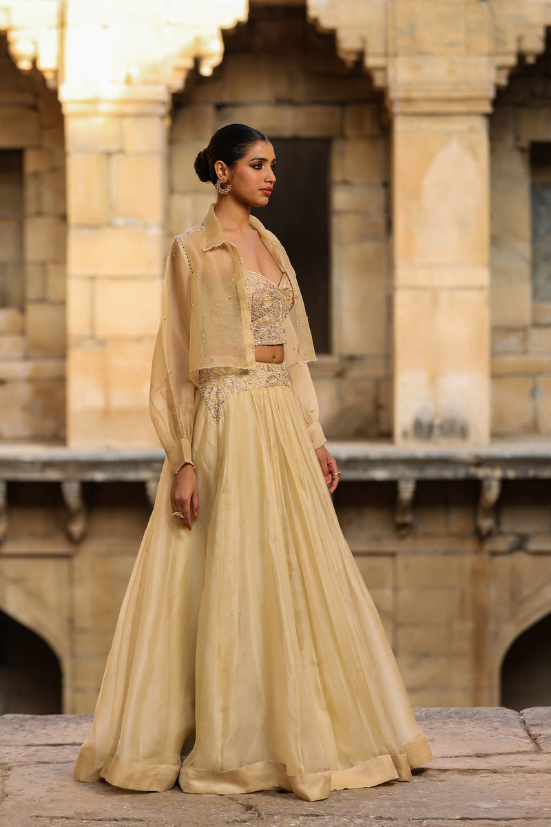 Vaayu Beige Jacket Lehenga Set organza lehenga sets by Niti Bothra in beige for women Worldwide