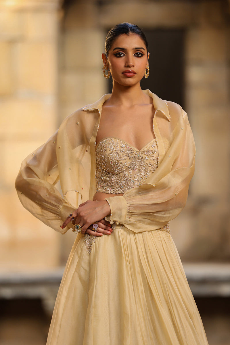 Vaayu Beige Jacket Lehenga Set organza lehenga sets by Niti Bothra in beige for women Worldwide