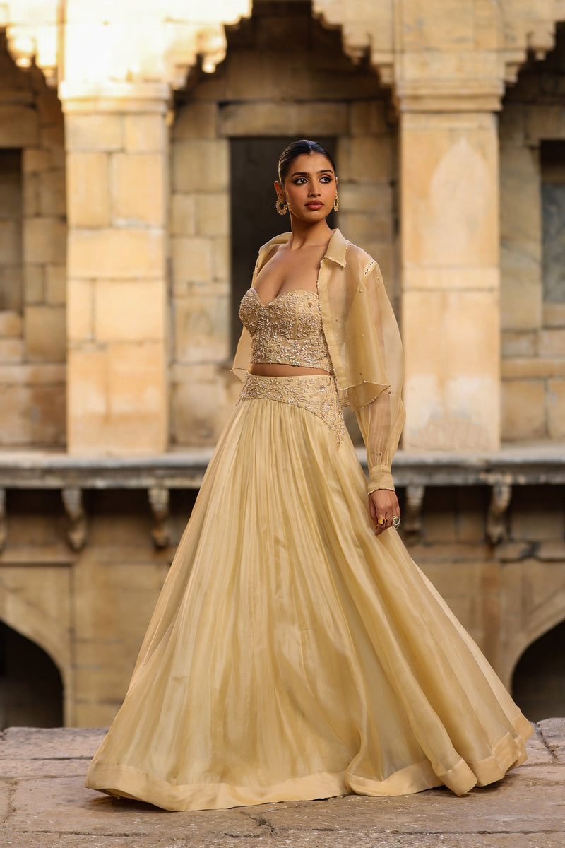 Vaayu Beige Jacket Lehenga Set organza lehenga sets by Niti Bothra in beige for women Worldwide