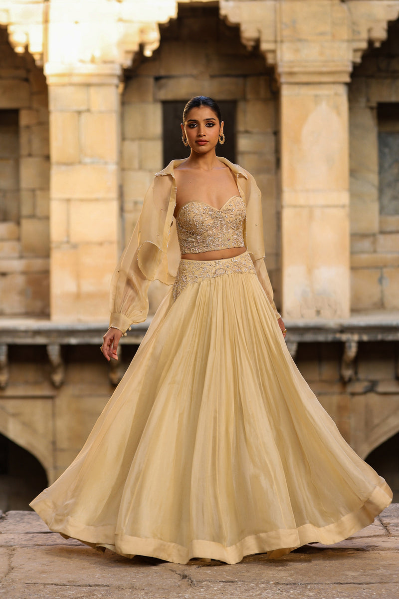 Vaayu Beige Jacket Lehenga Set organza lehenga sets by Niti Bothra in beige for women Worldwide
