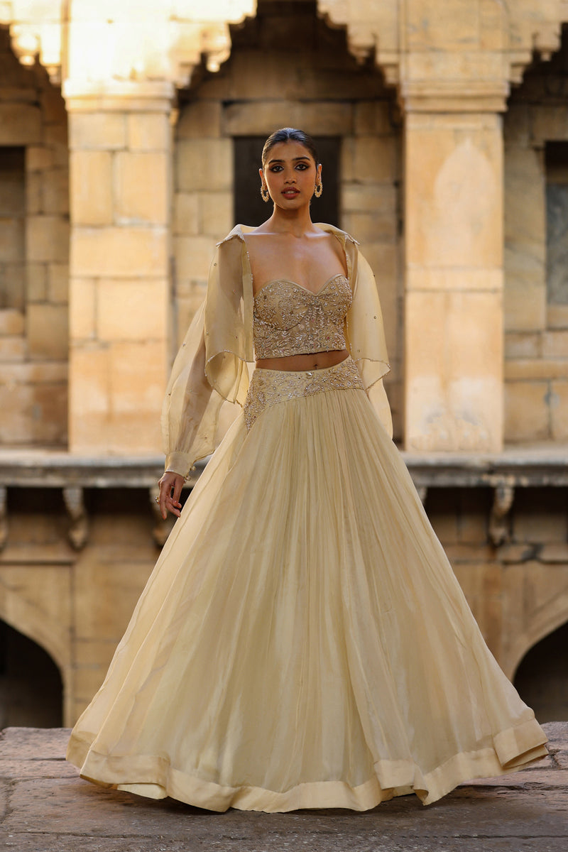 Vaayu Beige Jacket Lehenga Set organza lehenga sets by Niti Bothra in beige for women Worldwide