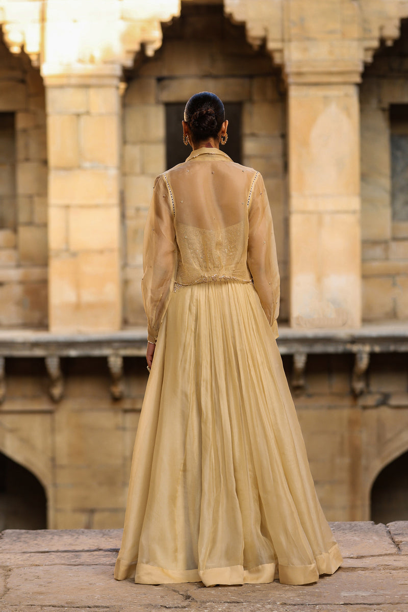 Vaayu Beige Jacket Lehenga Set organza lehenga sets by Niti Bothra in beige for women Worldwide