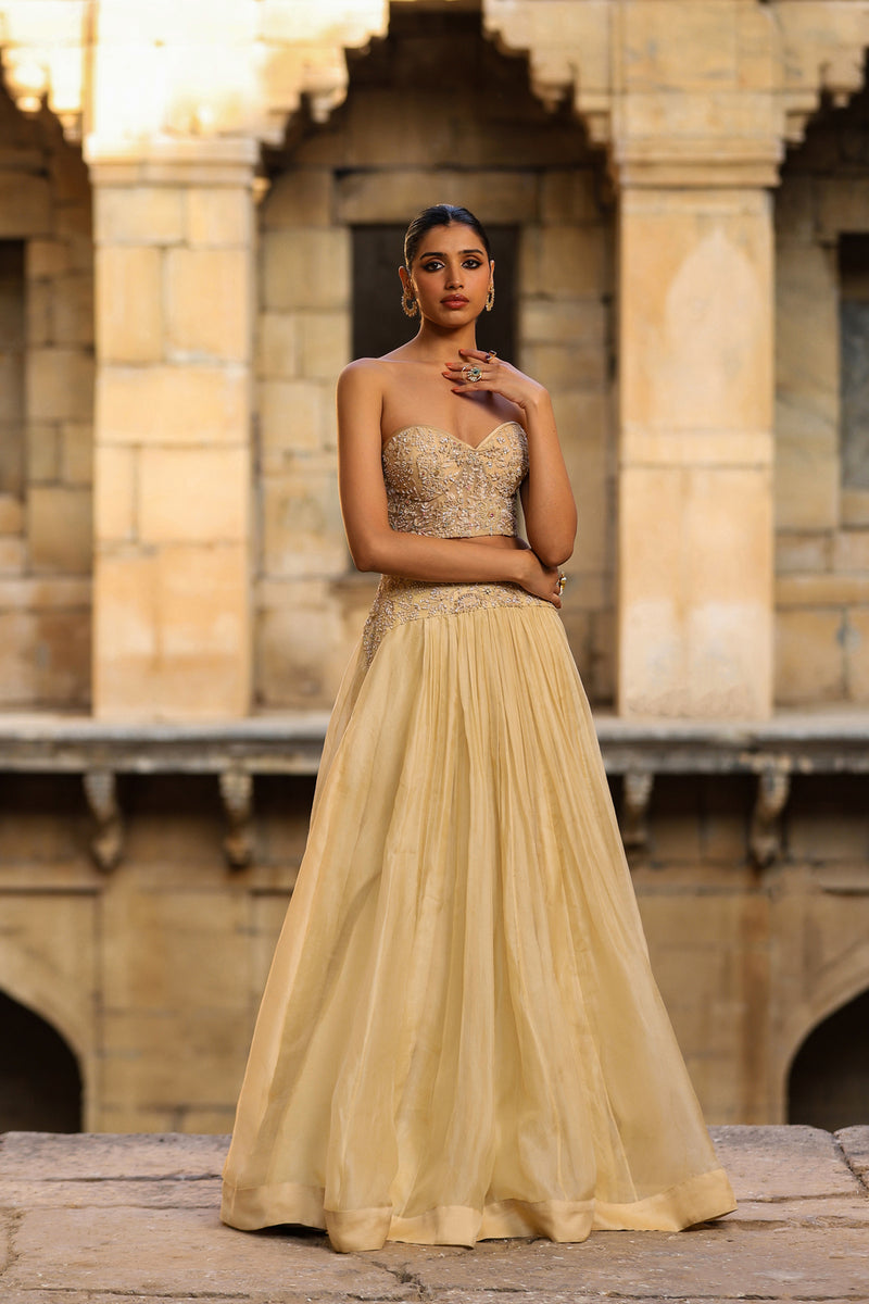 Vaayu Beige Jacket Lehenga Set organza lehenga sets by Niti Bothra in beige for women Worldwide