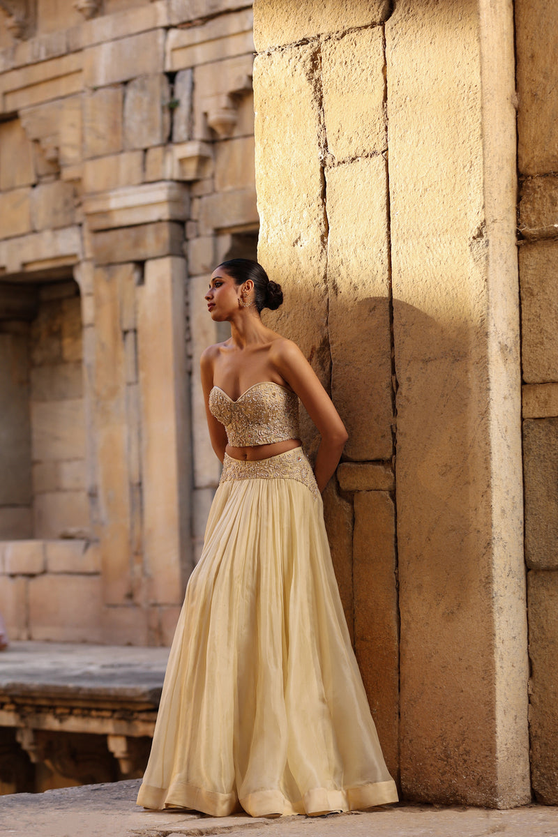 Vaayu Beige Jacket Lehenga Set organza lehenga sets by Niti Bothra in beige for women Worldwide