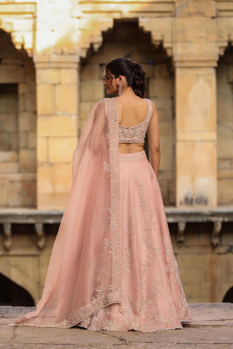 Vaayu Light Pink Jaal Lehenga Set organza lehenga sets by Niti Bothra in light pink for women Worldwide