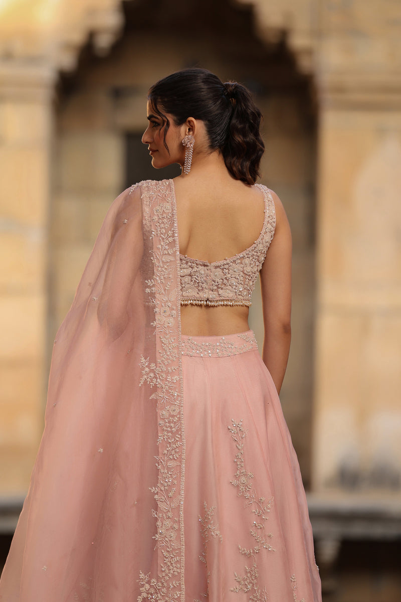 Vaayu Light Pink Jaal Lehenga Set organza lehenga sets by Niti Bothra in light pink for women Worldwide