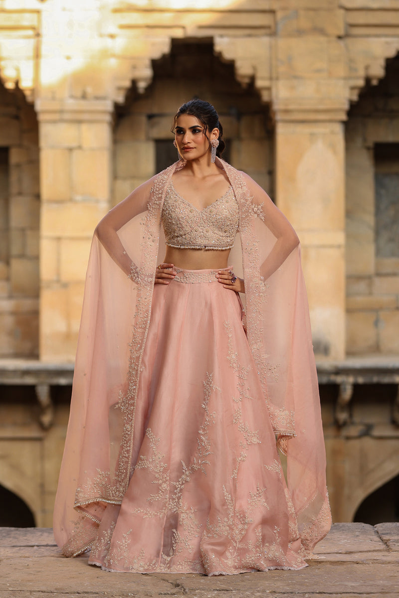 Vaayu Light Pink Jaal Lehenga Set organza lehenga sets by Niti Bothra in light pink for women Worldwide